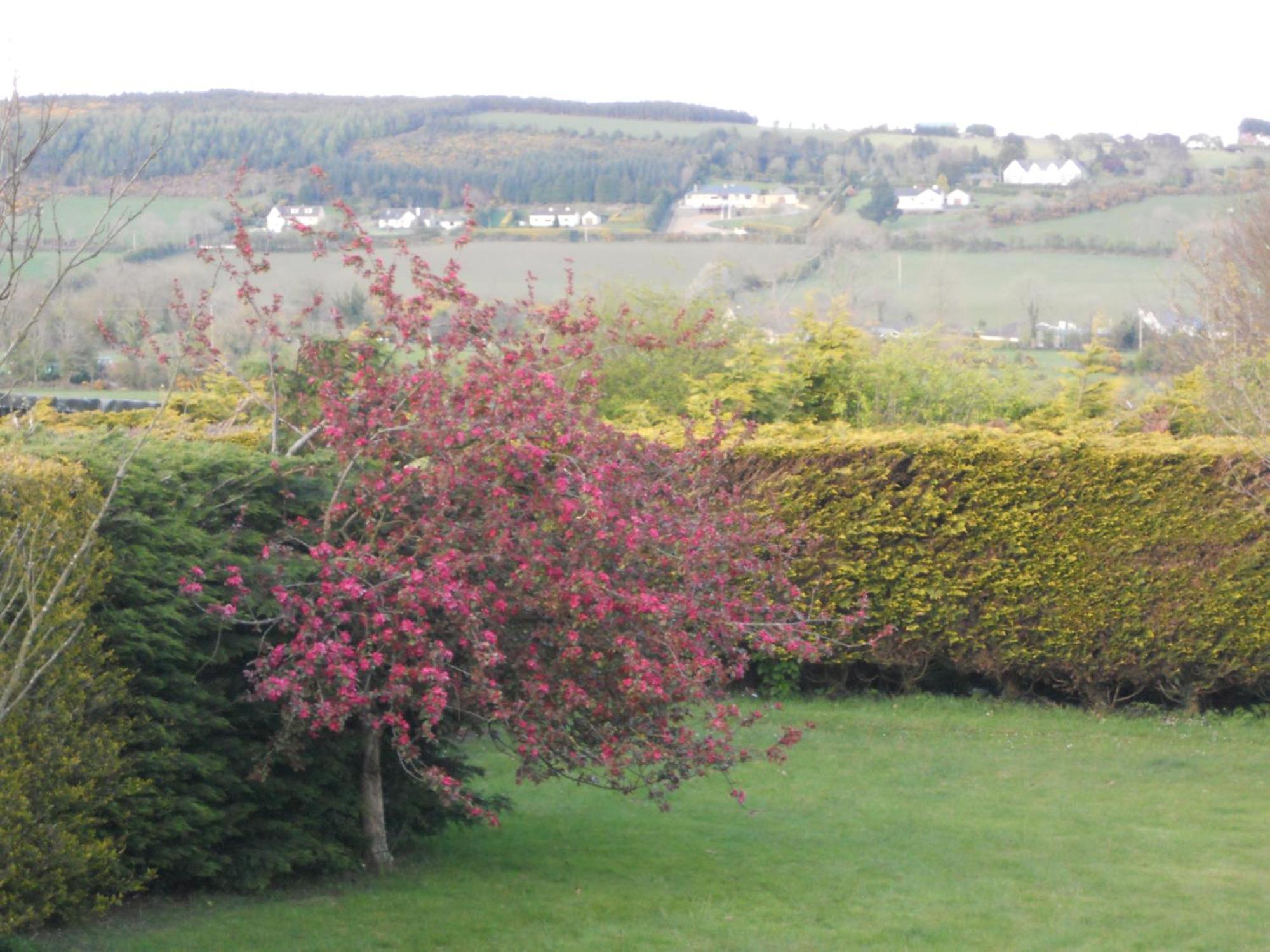 Rhu Glenn Hotel Waterford Bagian luar foto
