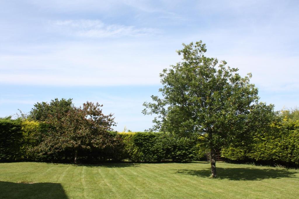 Rhu Glenn Hotel Waterford Ruang foto